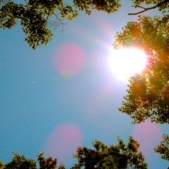 Rothbury Village Park